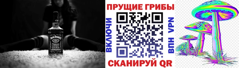 Галлюциногенные грибы MAGIC MUSHROOMS  Купить закладки  Игарка 